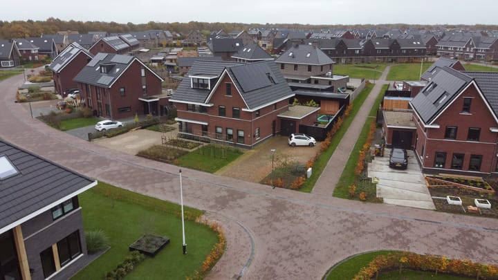 Foto 5 van Sleutelbloem 41