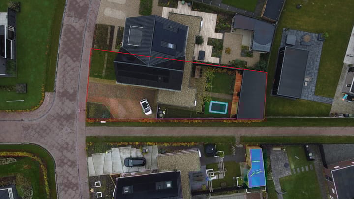 Foto 6 van Sleutelbloem 41