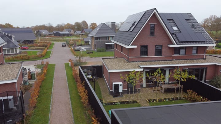 Foto 7 van Sleutelbloem 41