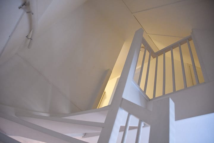 Foto 38 van Sleutelbloem 41