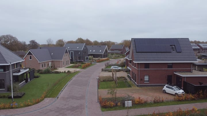 Foto 58 van Sleutelbloem 41