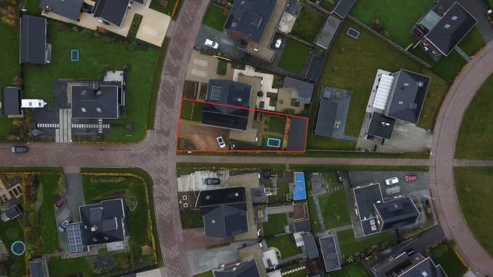 Foto 59 van Sleutelbloem 41