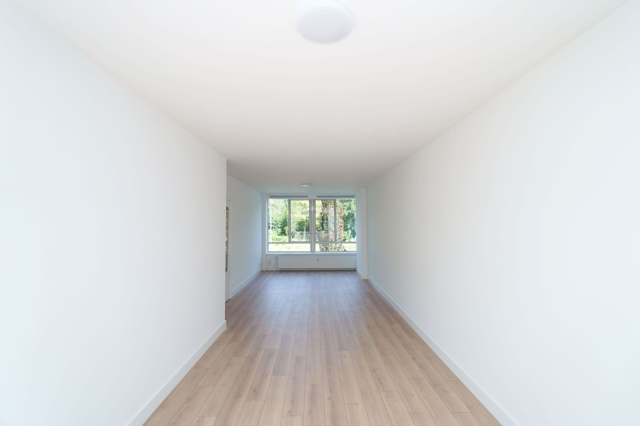 Foto 3 van Segbroeklaan 574