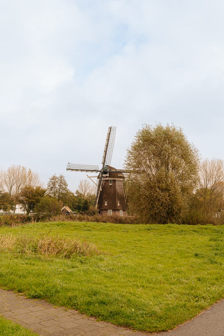 Foto 25 van Bruins Slotstraat 11