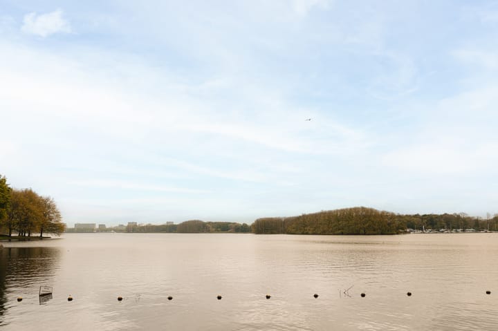 Foto 28 van Bruins Slotstraat 11