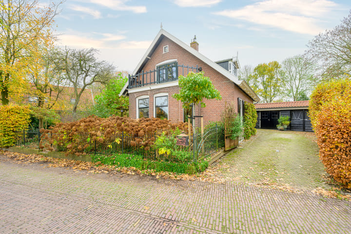 undefined main image
