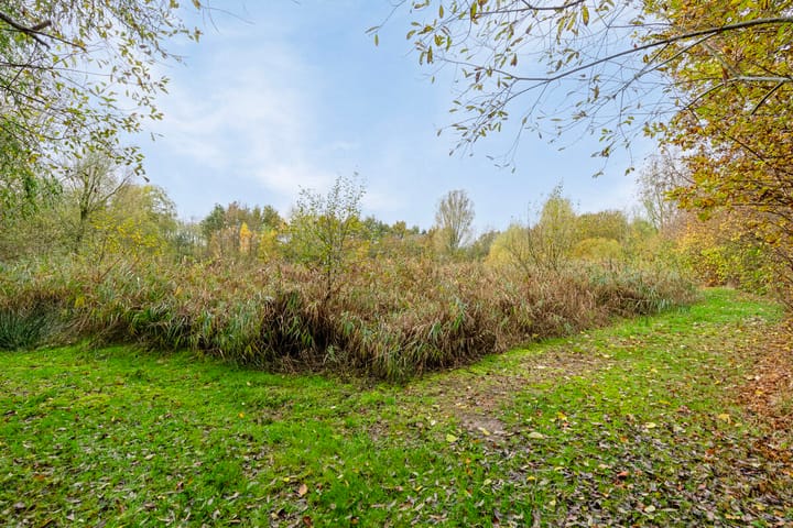 Photo 29 of Veenweg 10