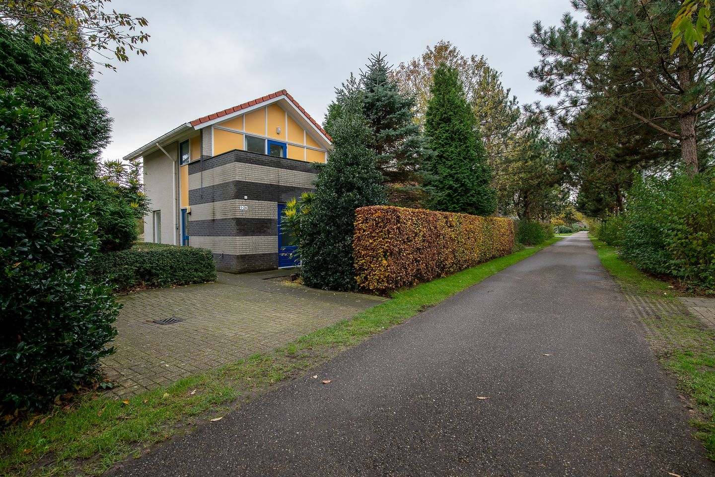 Foto 10 van Roegeweg 1-24