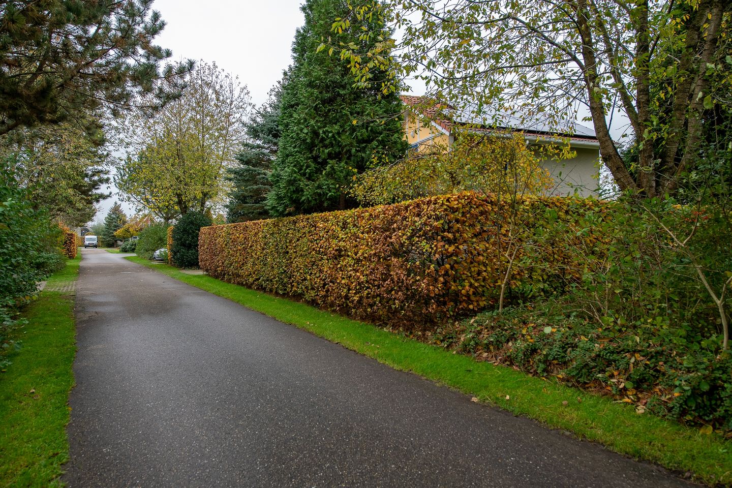 Foto 29 van Roegeweg 1-24