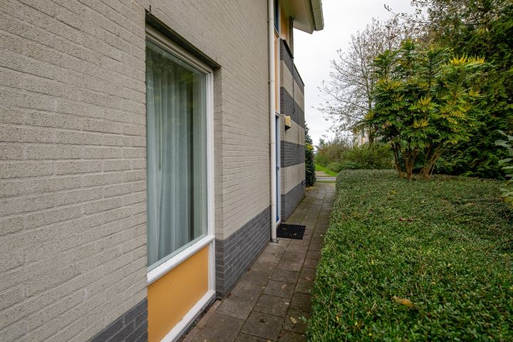 Bekijk foto 37 van Roegeweg 1-24