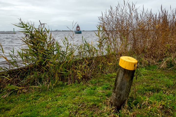 Bekijk foto 51 van Roegeweg 1-24