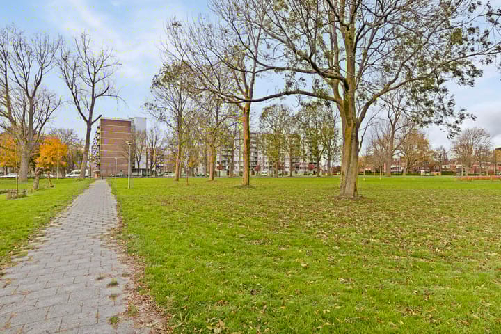 Foto 35 van Laan der Nederlanden 92