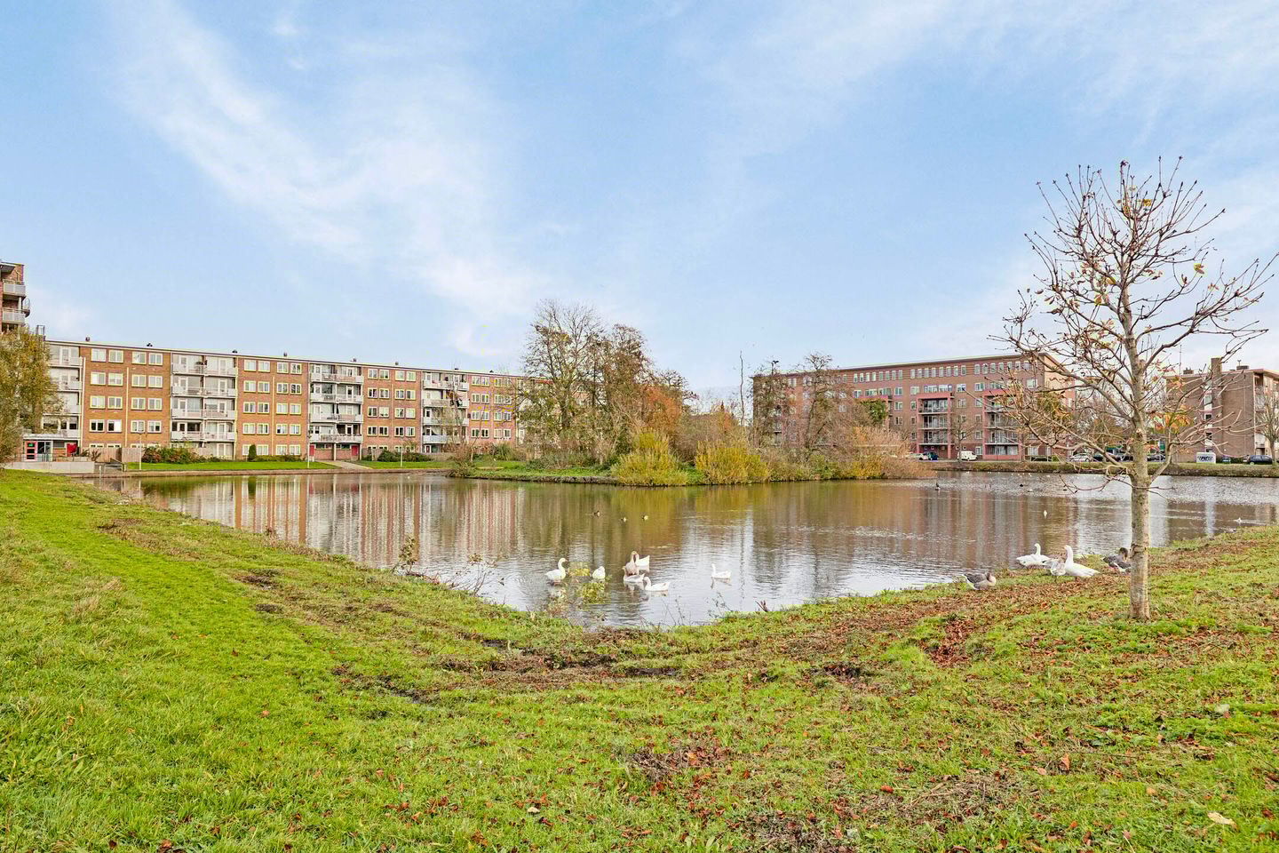 Foto 34 van Laan der Nederlanden 92