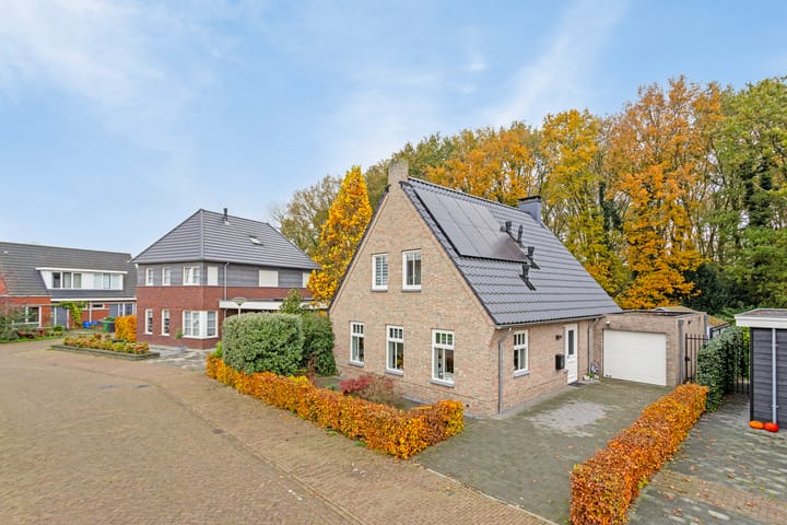 Foto 2 van de Groenling 53