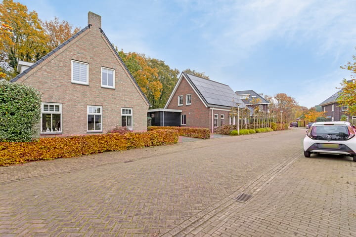 Foto 8 van de Groenling 53