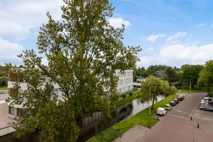 Bekijk foto 34 van Willem de Zwijgersingel 102