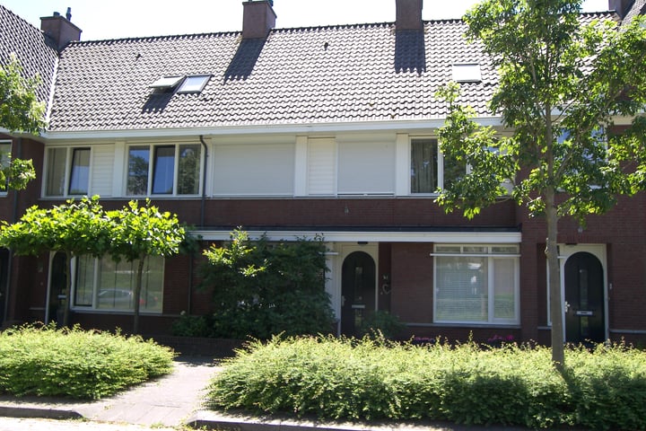 Parelmoervlinder 39