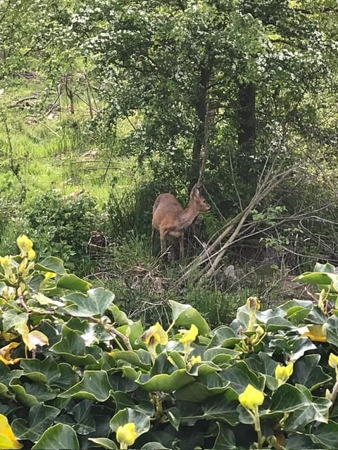 Foto 45 van Waterland 37