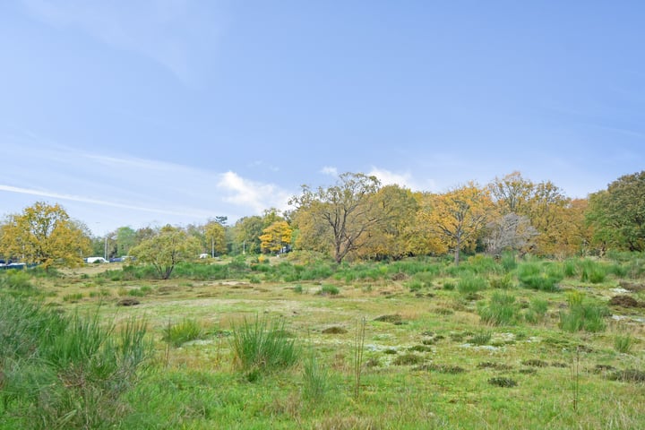 Bekijk foto 39 van Ridderspoorweg 42