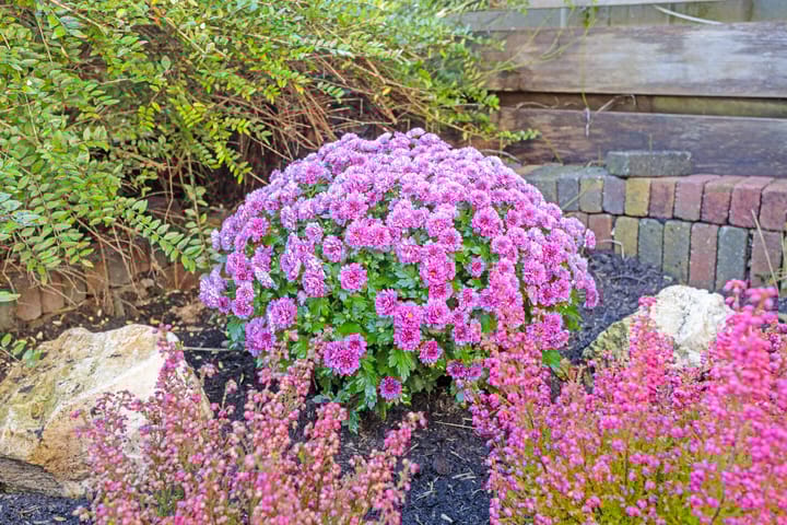 Foto 11 van De Koopman 50