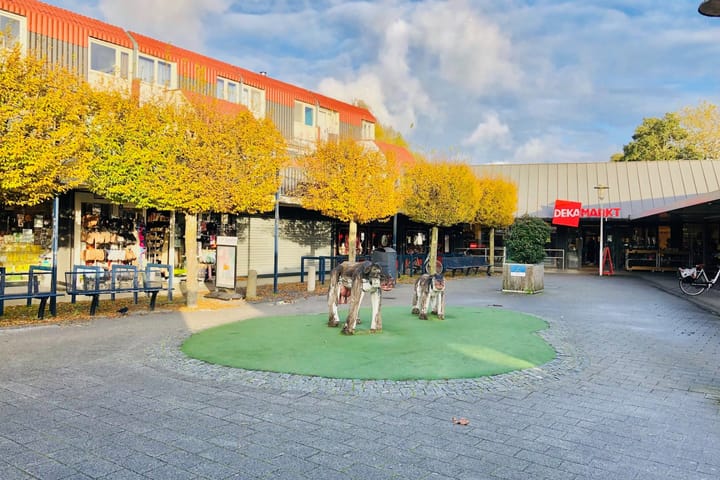 Foto 33 van De Koopman 50