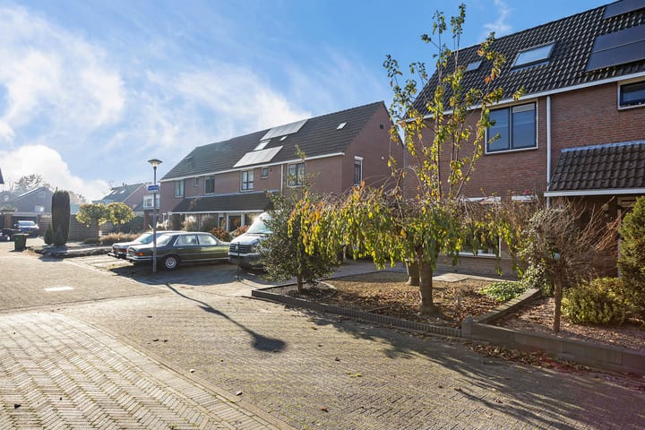 Foto 5 van Staartmees 8