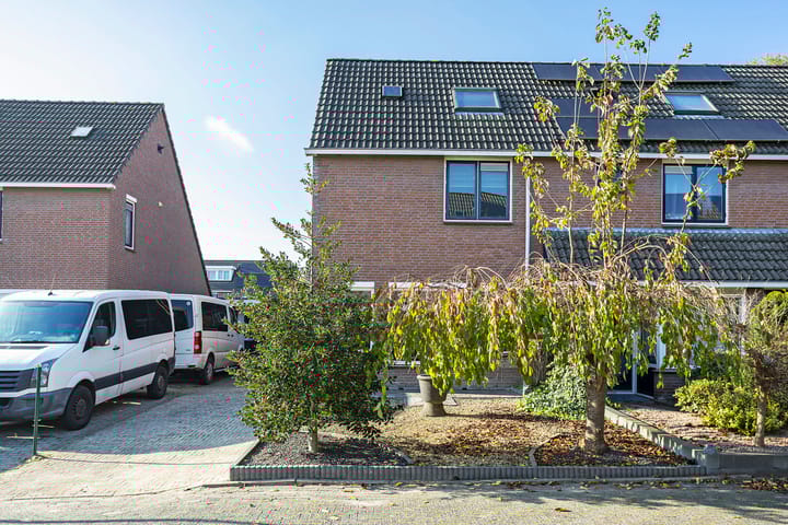 Foto 4 van Staartmees 8