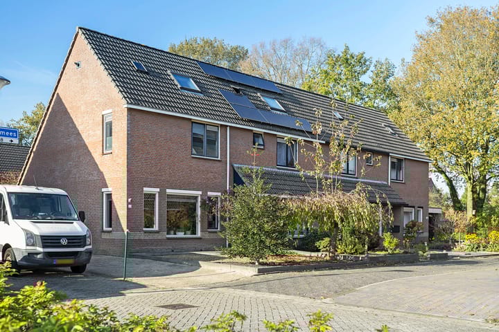 Foto 6 van Staartmees 8