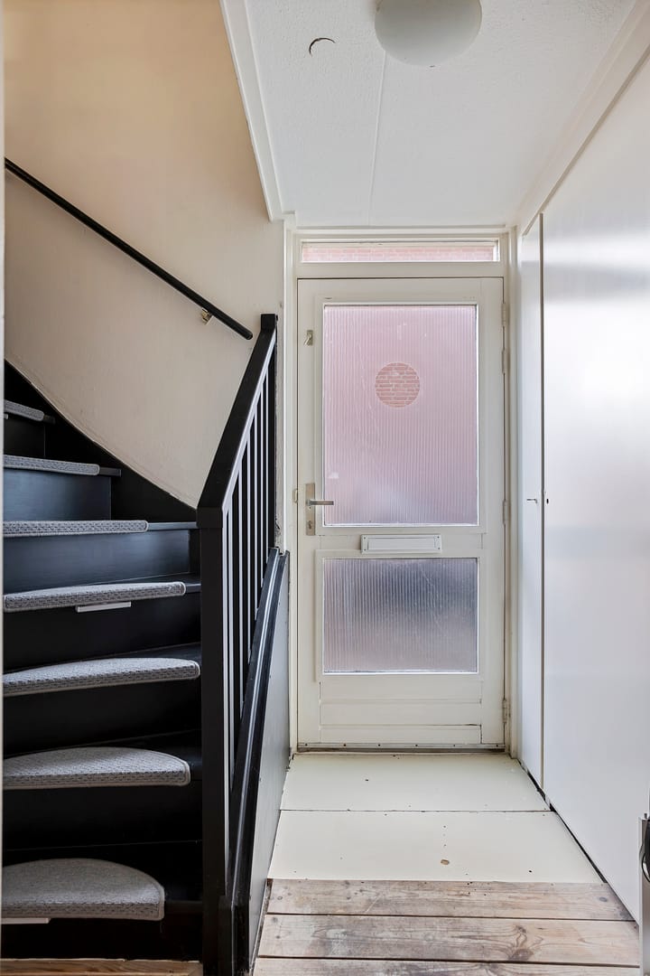 Foto 8 van Staartmees 8