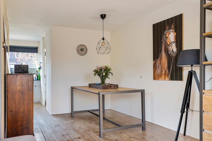 Foto 13 van Staartmees 8