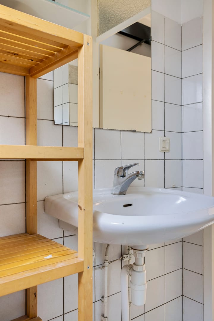 Foto 27 van Staartmees 8