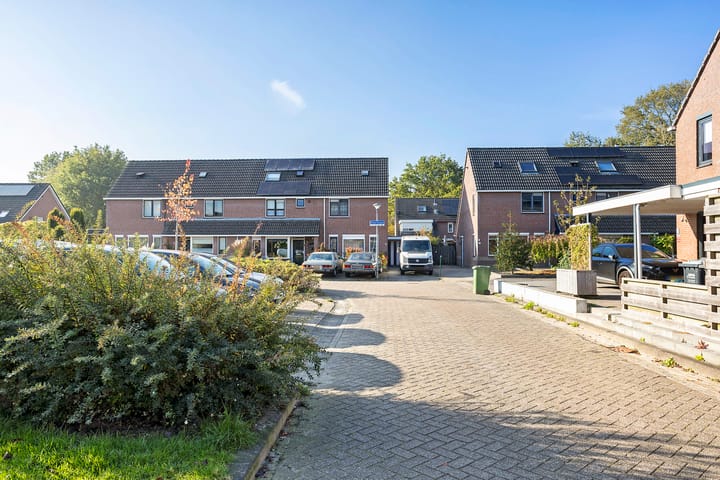 Foto 37 van Staartmees 8