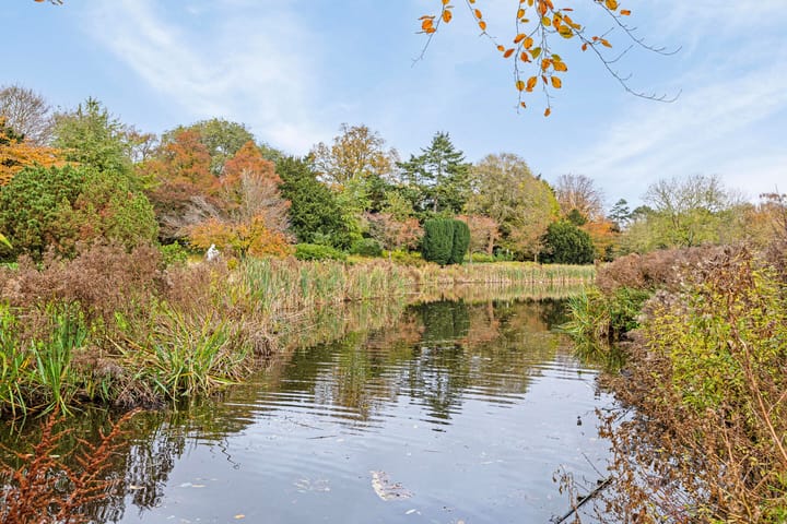 Foto 36 van Amerongenstraat 33