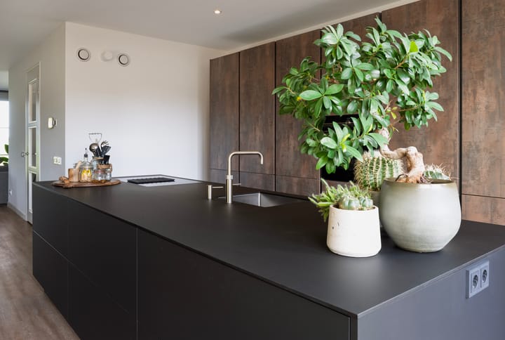 Foto 17 van Baak van Renesse 25