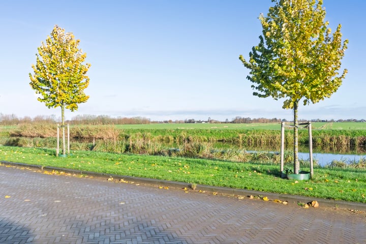 Bekijk foto 3 van Baak van Renesse 25