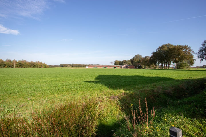 Bekijk foto 27 van Kerkekkers 2