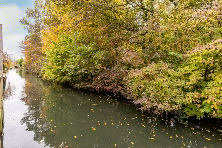 Photo 8 of Kleine Vos 29