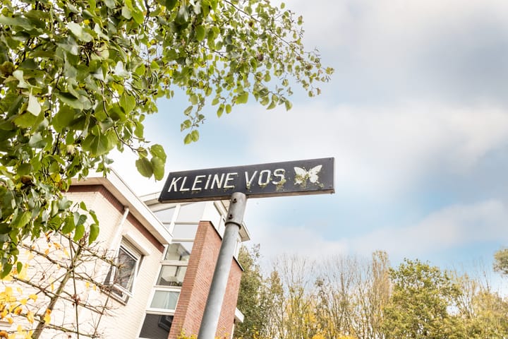 Photo 31 of Kleine Vos 29