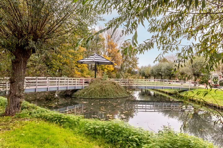 Photo 40 of Kleine Vos 29