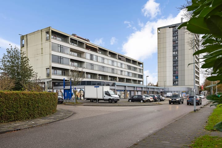 Foto 3 van Landschaplaan 104