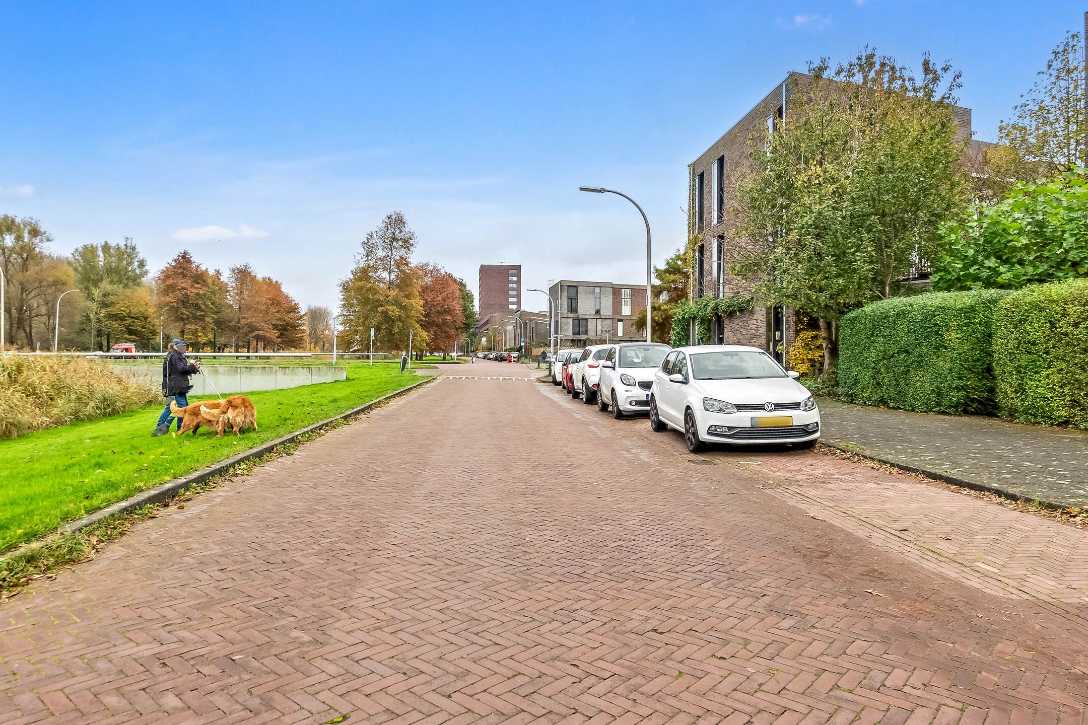 Foto 54 van Torenvalklaan 29