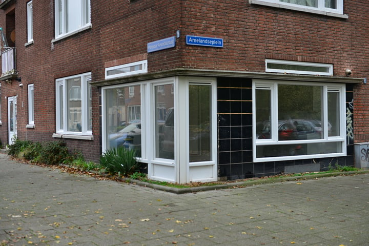 Bekijk foto 1 van Meester Arendstraat 1-B