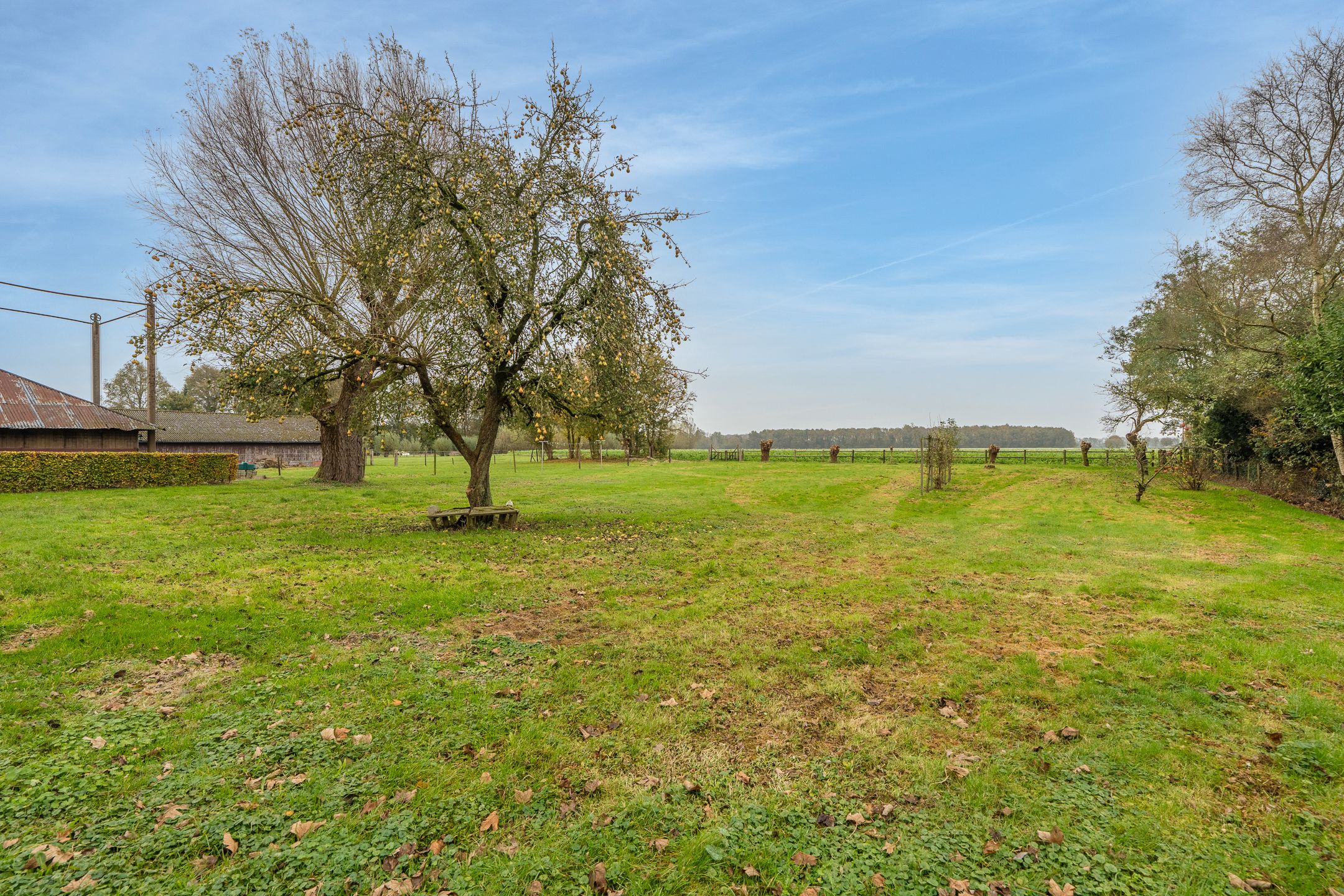 Foto 15 van Hoofdweg 240