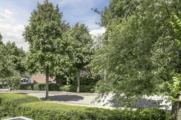 Foto 37 van Koggewaard 4