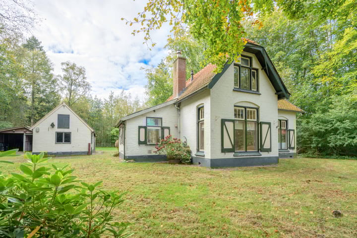 Foto 2 van Terwisscha 6