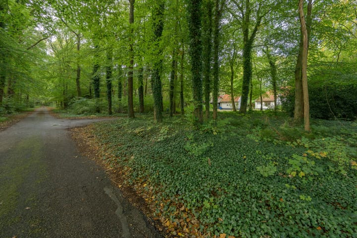 Foto 6 van Terwisscha 6