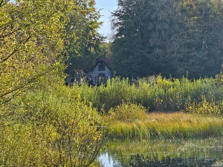 Foto 7 van Terwisscha 6