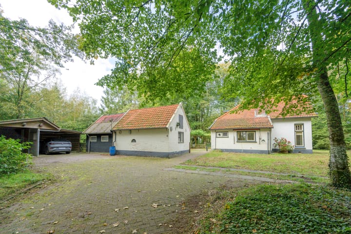 Foto 9 van Terwisscha 6