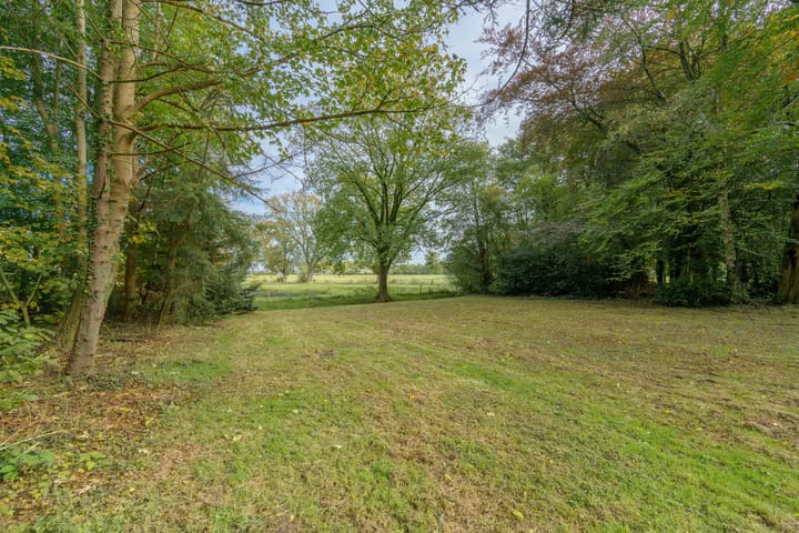 Foto 10 van Terwisscha 6