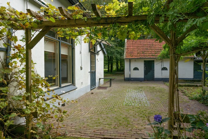 Foto 12 van Terwisscha 6